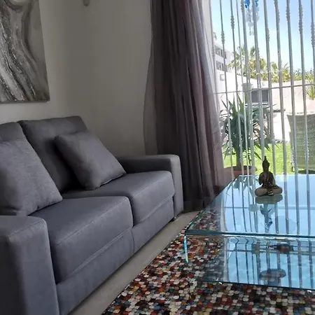 Hortensia فيلة *